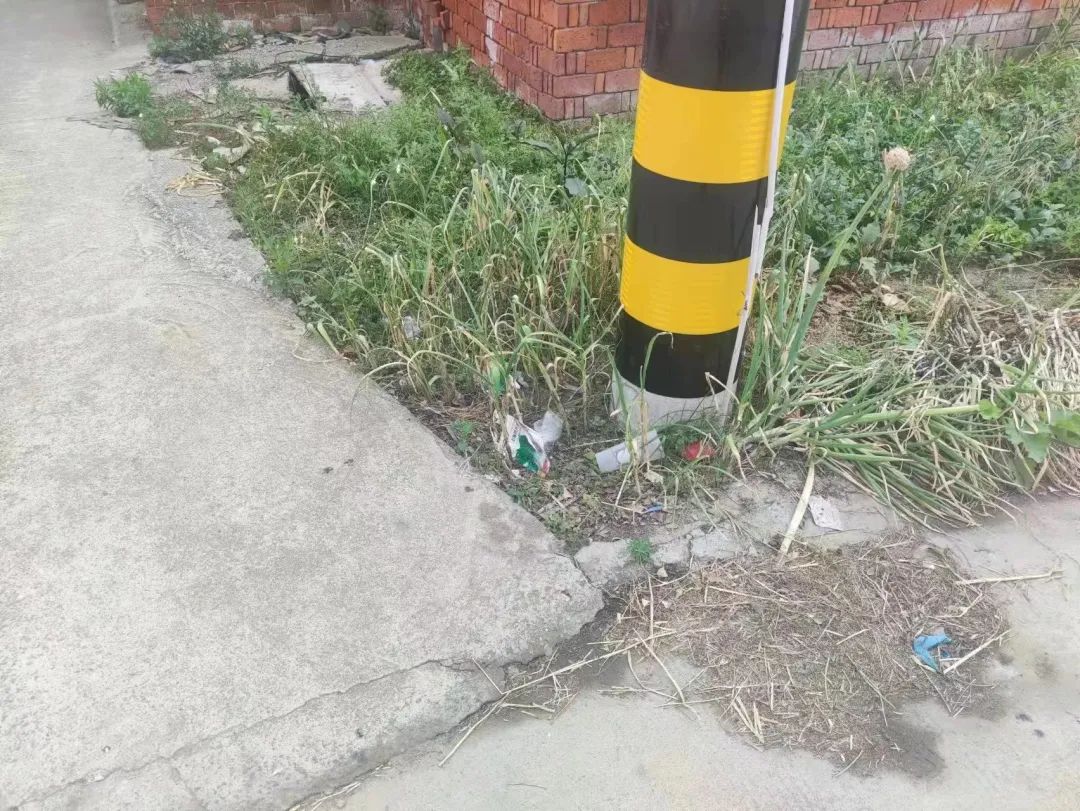 110317igxxxgocxzq0wlqg.jpeg