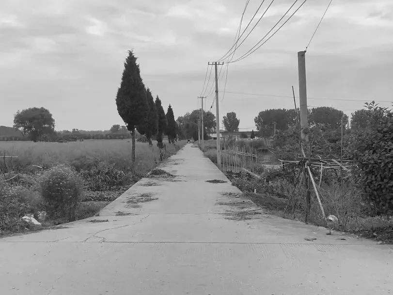094750onncs1hig155591i.jpeg