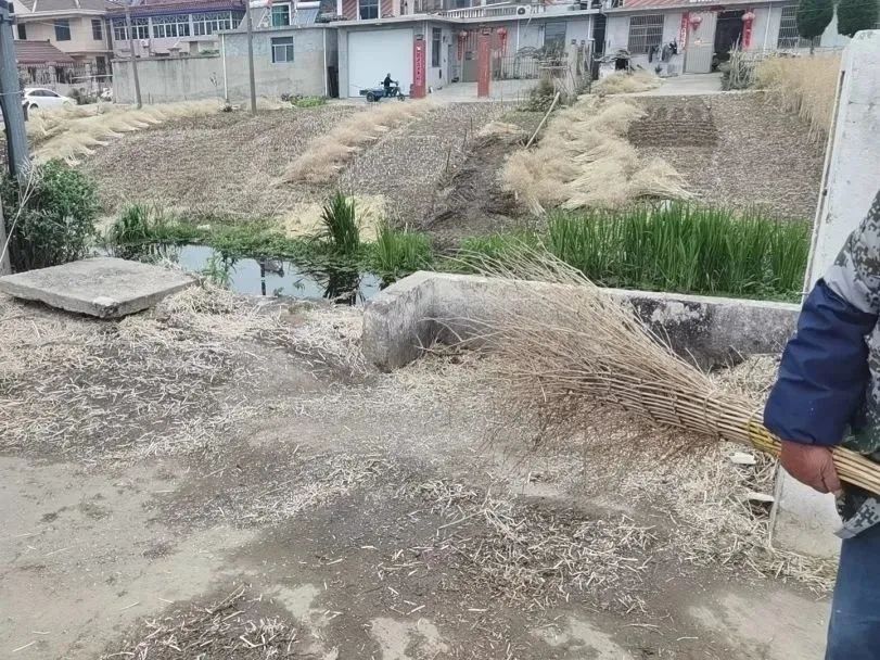 094754hehnow1rzkkc30vn.jpeg