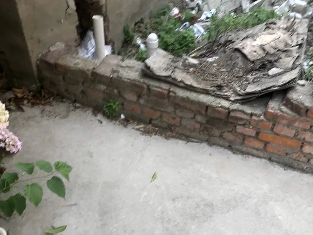 091801xsicvj841v3j5jci.jpeg