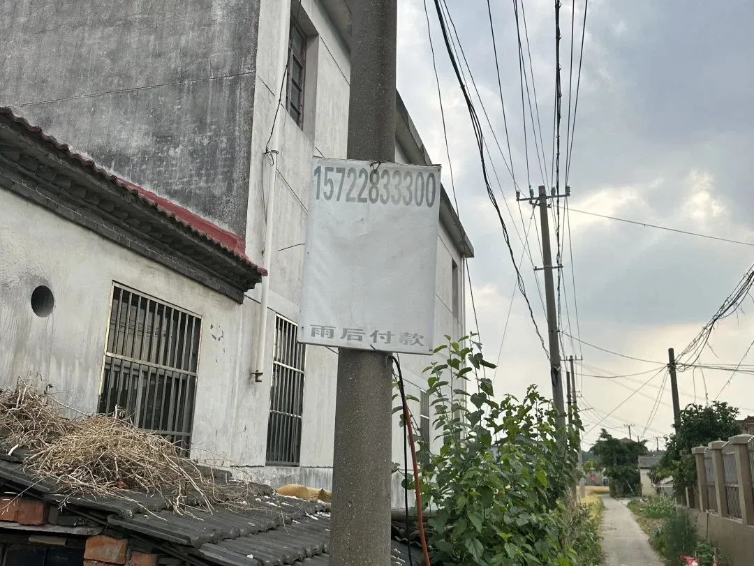 091807xbrybed25y1kb5wb.jpeg