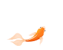 163622qogxlzkq3pooi5jo.gif