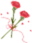 172156hwwbtzbth6n6bwmc.png
