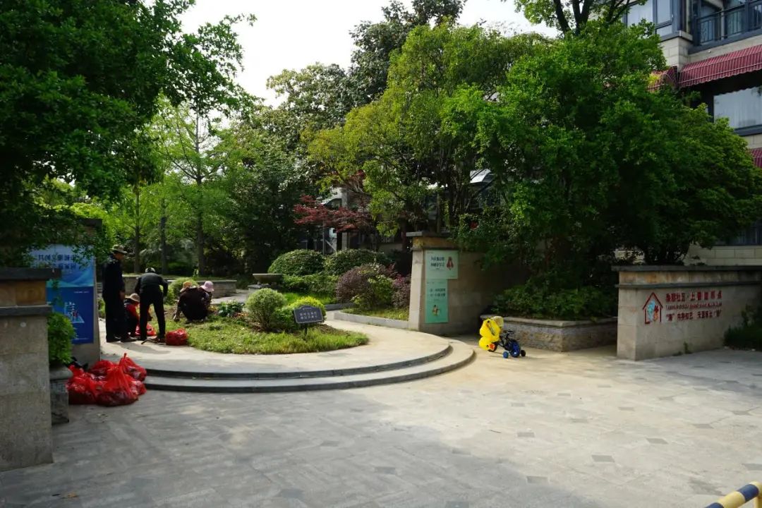 082009vkxy6ygoz42pu2gk.jpeg