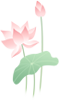 083722a022k6wv6864z2bq.png