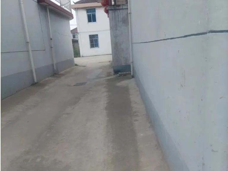 091048l84yipipipdn7z22.jpeg