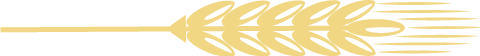 175734wo99uerrjwsswozs.png