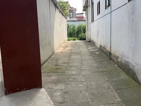 084902xal1p1islei1zxet.jpeg