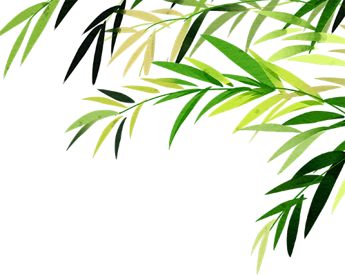 175652p3j733bq5ajo573l.png