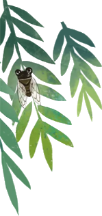175653k97p251rq15o2uee.png