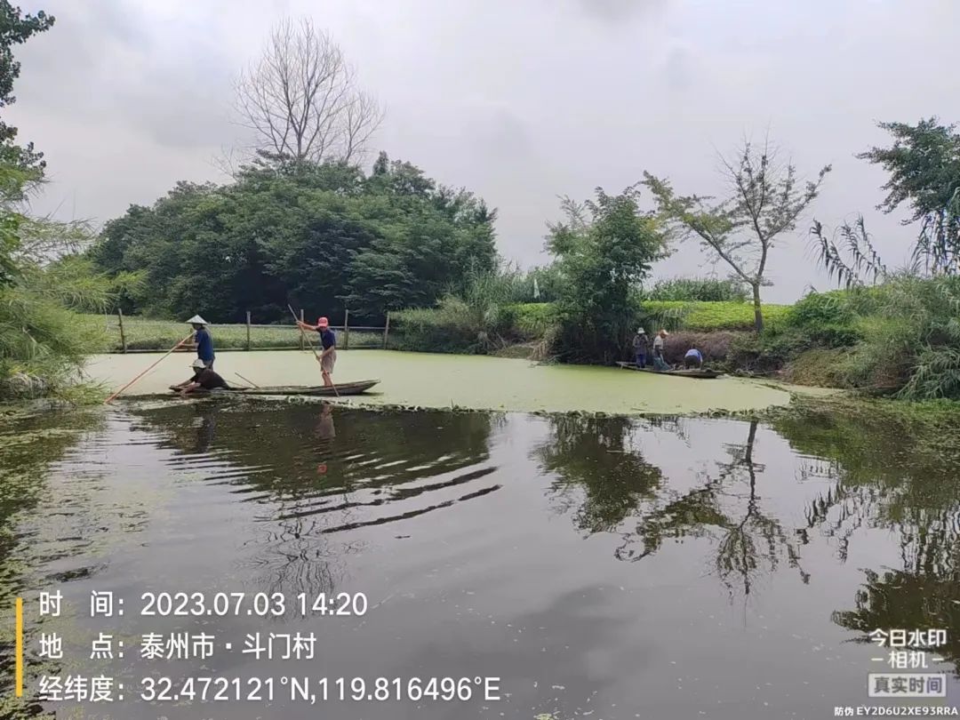 102443egji1ppwx1xxswl1.jpeg