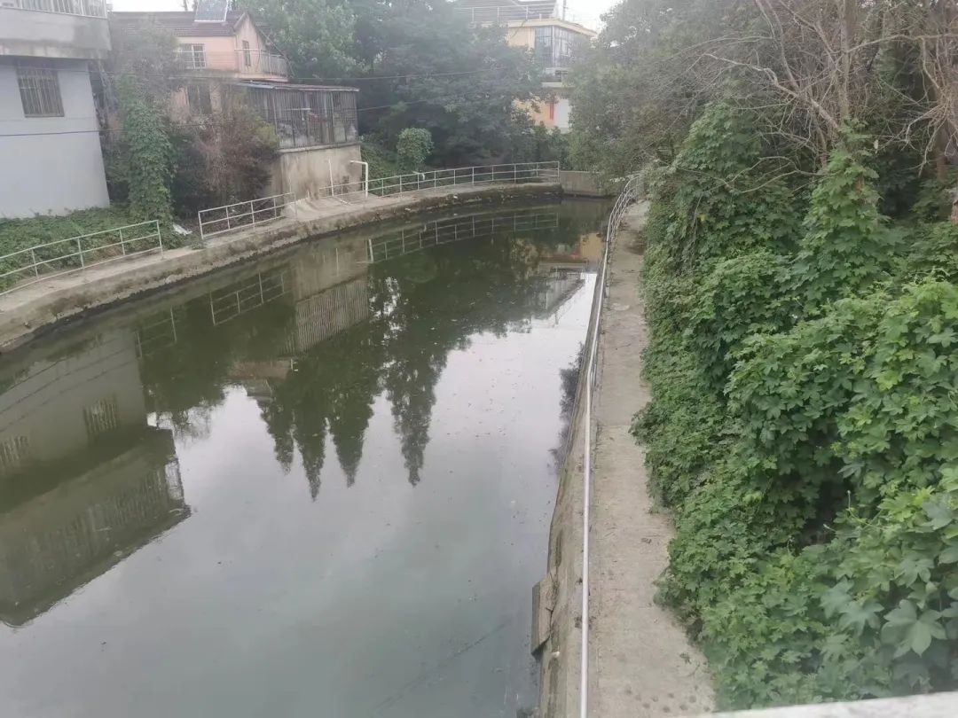 094824moz677ki3dk7id7i.jpeg
