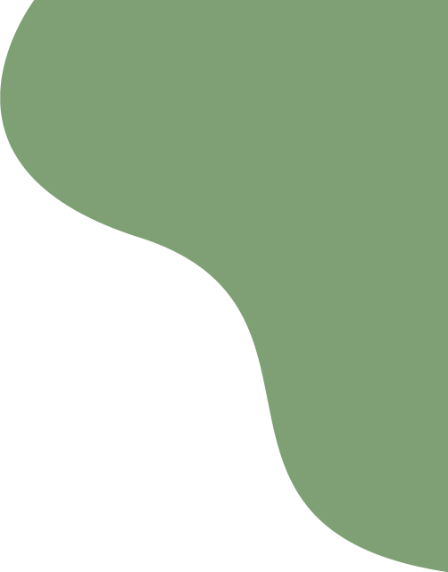 155032spck2ev9cto0of9k.png