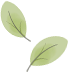 101129eaqkhonwigiyhcsk.png