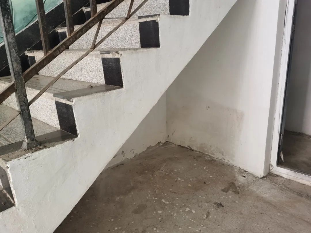 160221hclp1rcc2oor10o1.jpeg