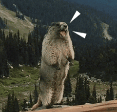 172041ghugu46fdcl9eyoc.gif