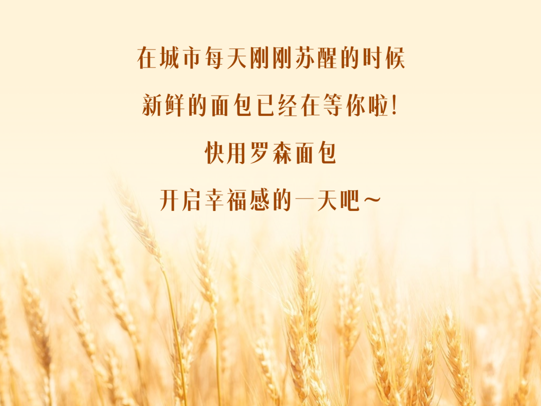 174533aigg2x2ij2evjw5v.png