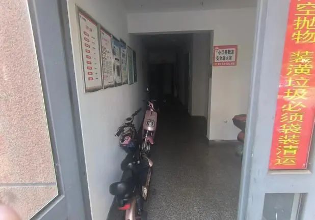 175358yczgzrrod63kzrro.jpeg