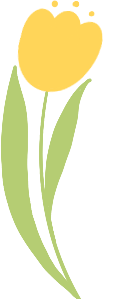 163608pdsttsuuoljduniz.png