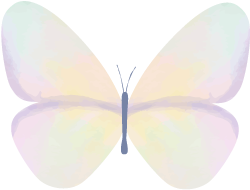 142224efqzndzvdvnneqml.png