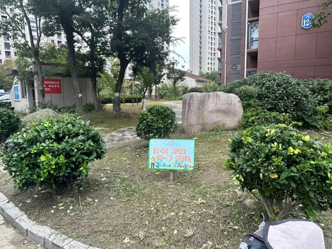 110925lvp4vr16vfp1toma.jpeg