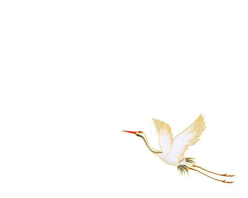 183940dzyymzl9mdt33mmp.gif
