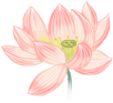 100445o9a6rlhvash79p6z.png