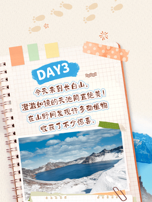 095238an8n8ny9ginf68nz.gif