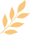 152152vsnf2dznegwf6nvv.png
