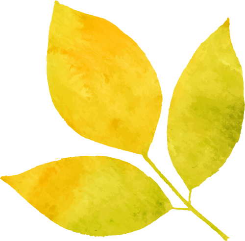 170235ftjlnzclx1jxxxxc.png