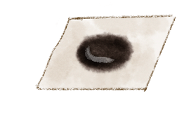182337wuaqbzzesfj7sojx.png