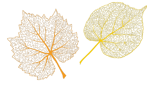 165038sn343awq36eqjh6i.png