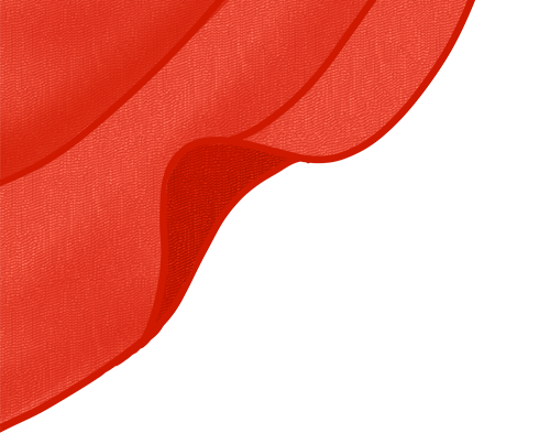 165645sq8m5ecocecfzhx5.png