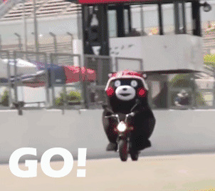 130552rsp9tcclsl5o22wc.gif