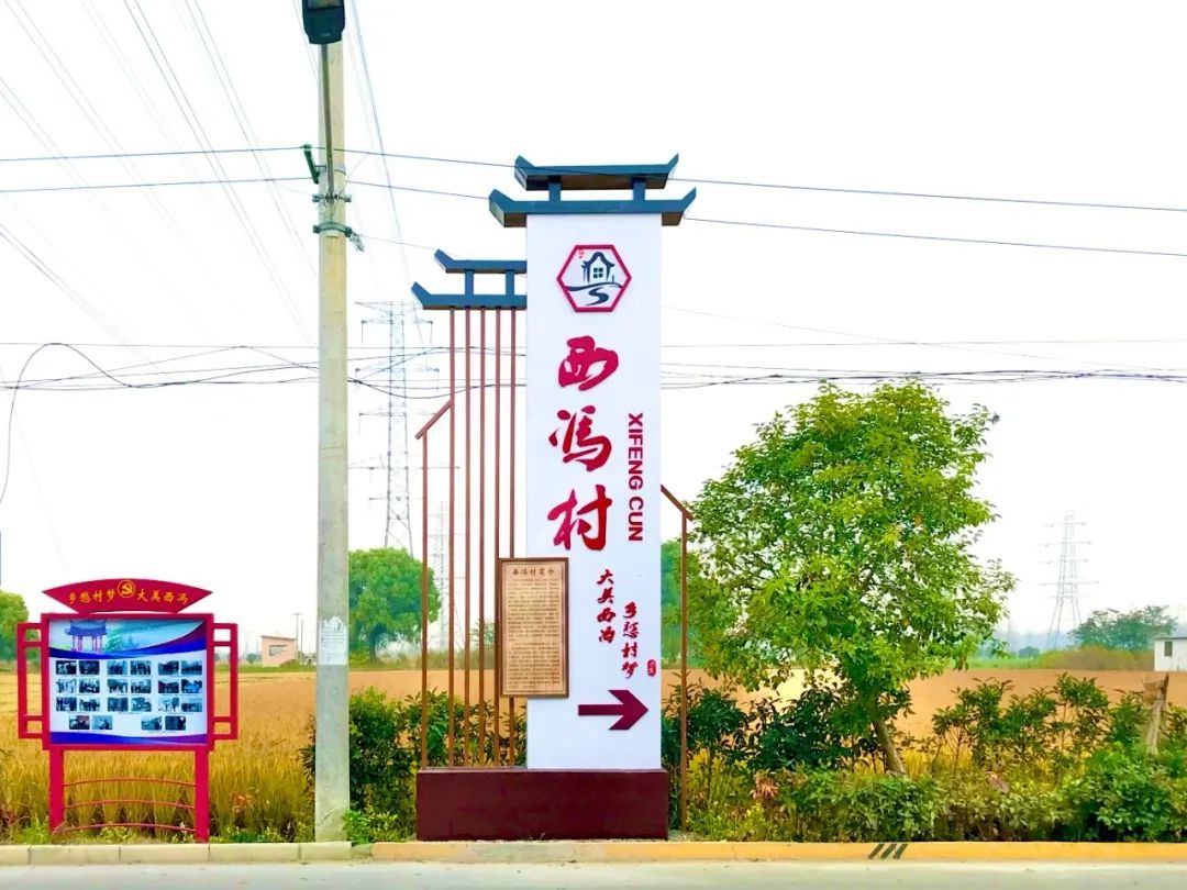 131150yzrzo72rm6arqprd.jpeg