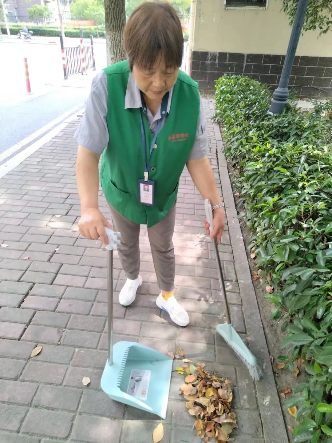 132147ywicc2wmas172r1s.jpeg