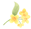132714i76whcwx7t7xj6jh.gif