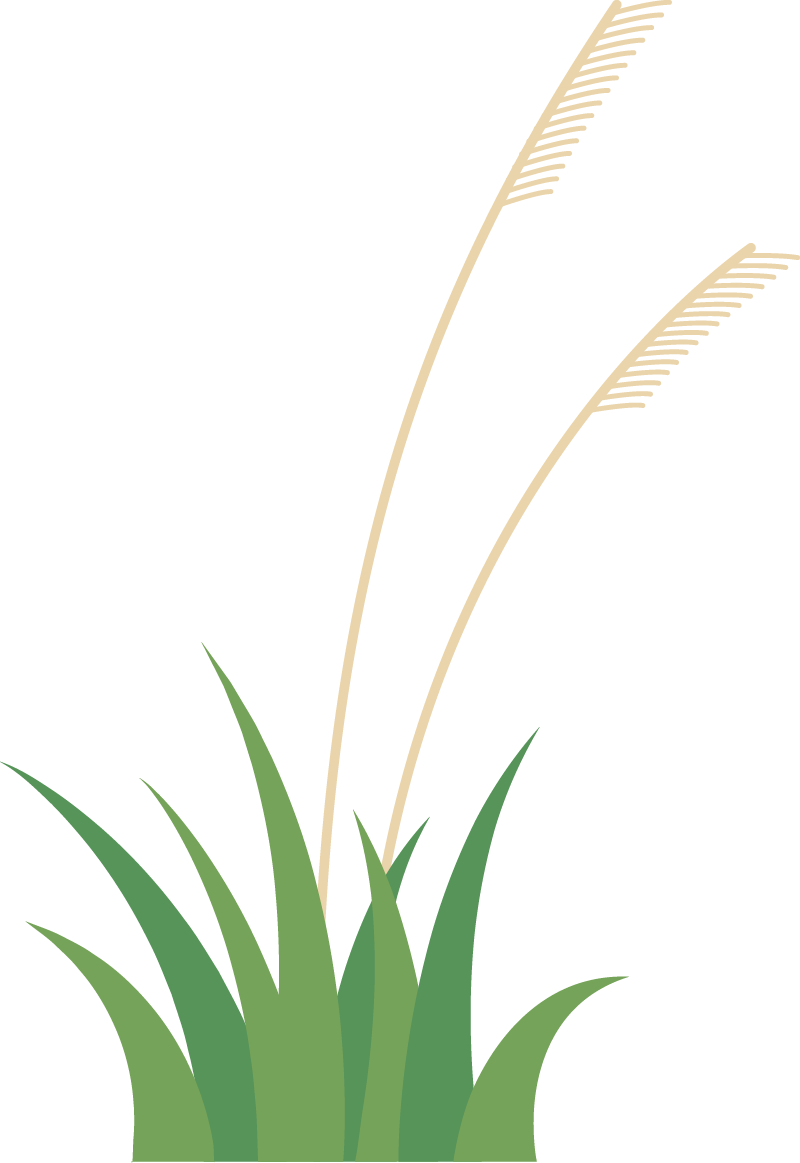 152449wde7jkkrn8pr67n4.png