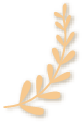 153350a8bfxwb8p6wch128.png