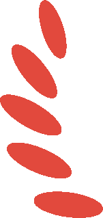 172907knnjj1o4n989ybci.png