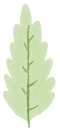 161619cxa9hhnxrnbrje44.png