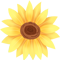 173719dvi24nnxrx4i3ayy.png