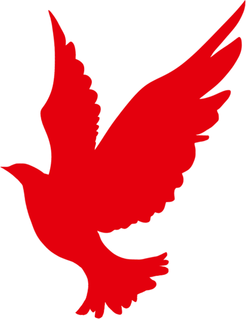 173413vsx2zsnbcs2bbj9p.png
