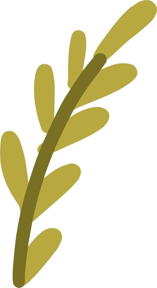154242x41ongnpg1r1nvrg.png