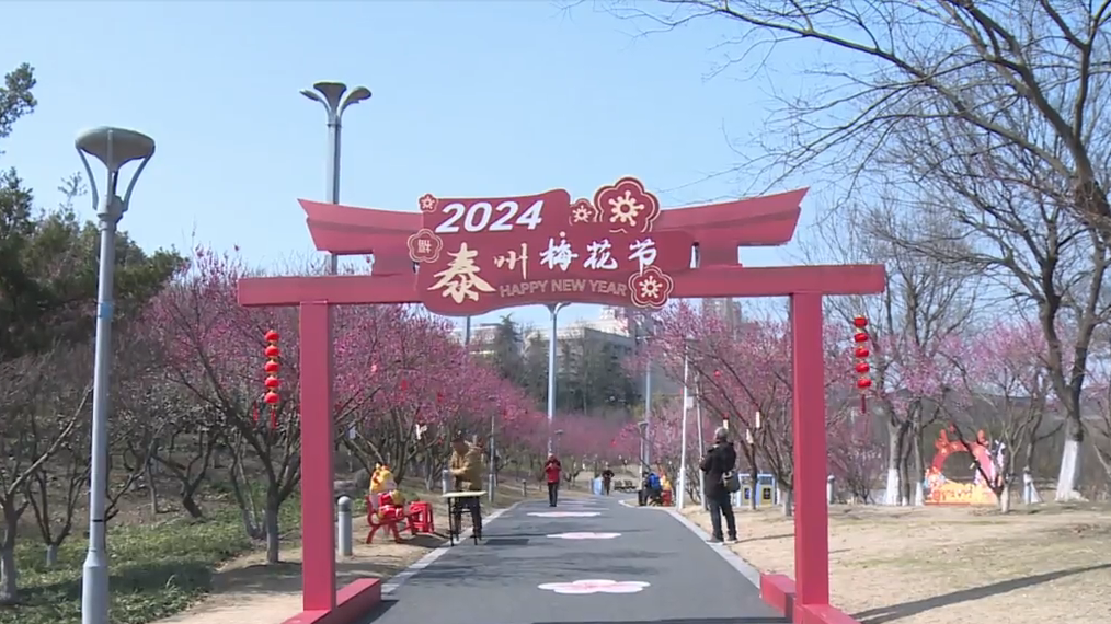 153302pl8xxxx638mtzzxs.png