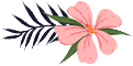 114533pnzsifrfwgjswjnj.png