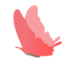 084442ndw7dodoopp8bgtp.gif