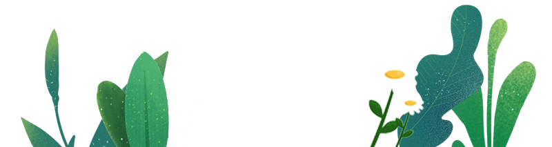 133653py80ttcy22f2mfcz.png