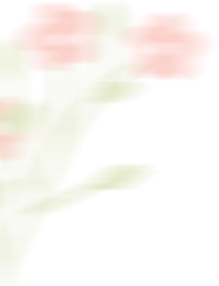 134337piin1i3ikkv2z2wc.png