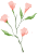 163905ecc877zqpipglhak.png